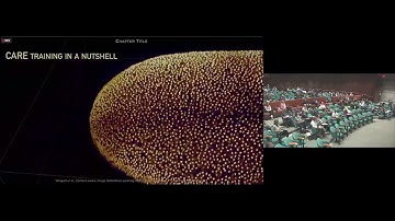 So Far: Content-aware Denoising and Semantic Unmixing