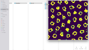 Known Kernel Demo - Evolution using handcrafted kernels for Lenia