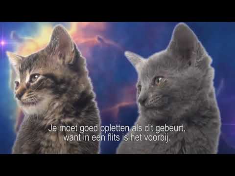 Video: Waarom Vallen Sterren?