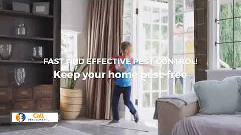 All Natural Pest Control: Best DIY Remedies for Monsoon Pests