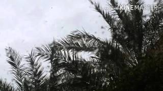 طقس الكويت أمطار خفيفة فترة الصباح يوم الأثنين 14 مارس 2016 screenshot 5