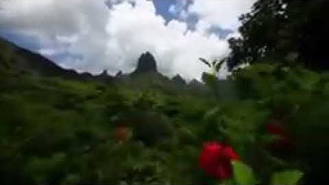 تلاوه عذبة من أن الله وملائكته يصلون على النبي يا أيها الذين آمنوا صلوا عليه وسلموا تسليما