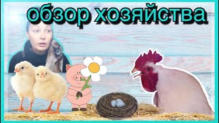 Обзор хозяйства.