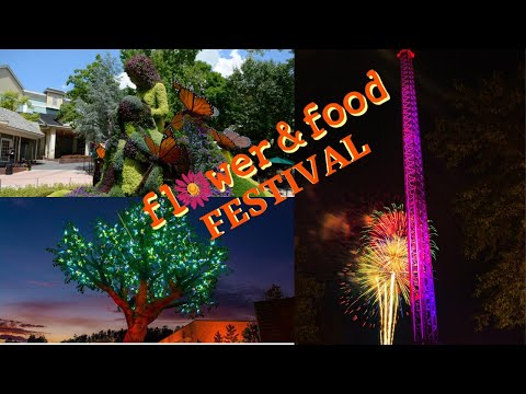 Dollywood 2020 Flower & Food Festival | Topiaries & Drop Line View Fireworks