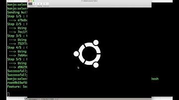 Test automation using Docker and Selenium in 3 minutes
