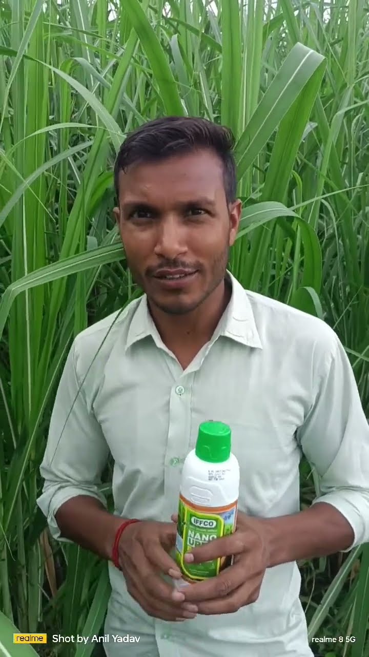एक एकड़ में गन्ना, स्प्रे का खर्च मात्र 225 रूपये, नैनो यूरिया प्लस से लहलहाई फसल