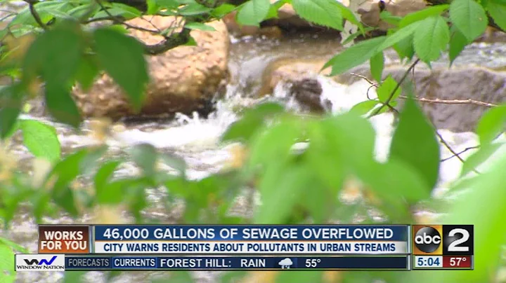 46,000 Gallons of sewage overflows into Jones Falls