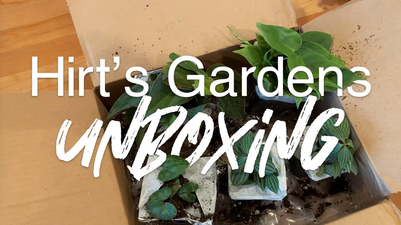 Hirt's Gardens Unboxing YouTube