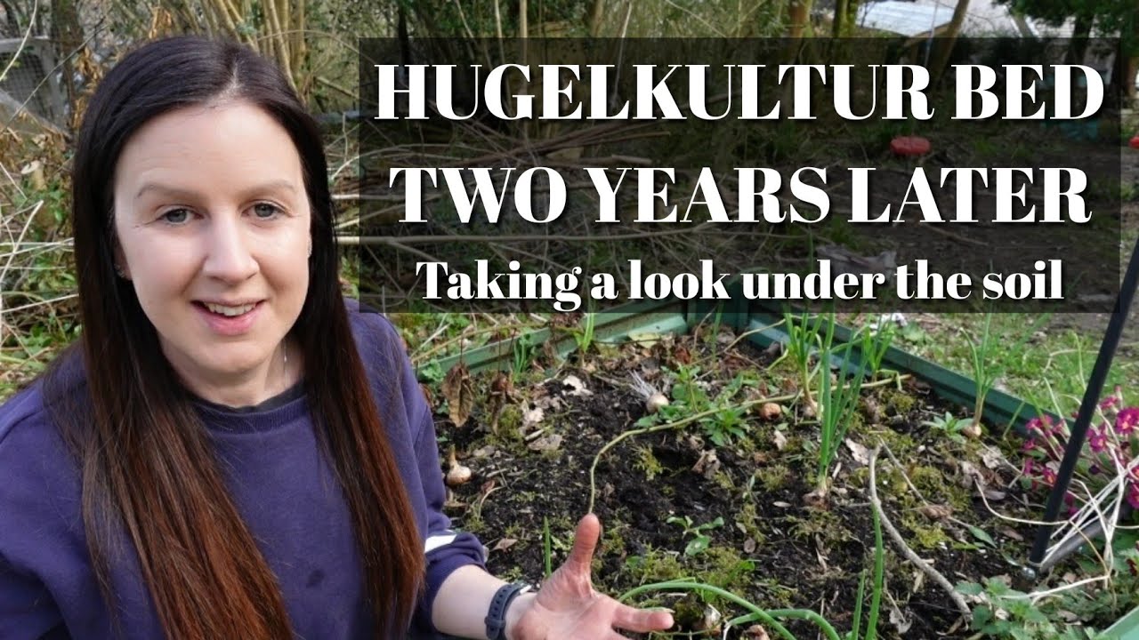 Hugelkultur Raised Garden Beds Two Year Review Looking Under The Soil