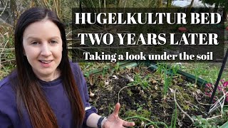 Hugelkultur Raised Garden Beds Two Year Review | Looking Under The Soil