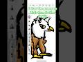 I drawed family gamepass birds