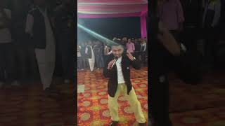 Thakur Raghubir Singh live show #trandingreels #dancelove #song #dance #thakur