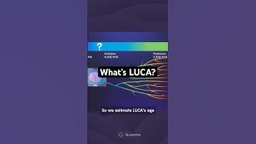LUCA: Onze laatste universele gemeenschappelijke voorouder #biologie #wetenschap