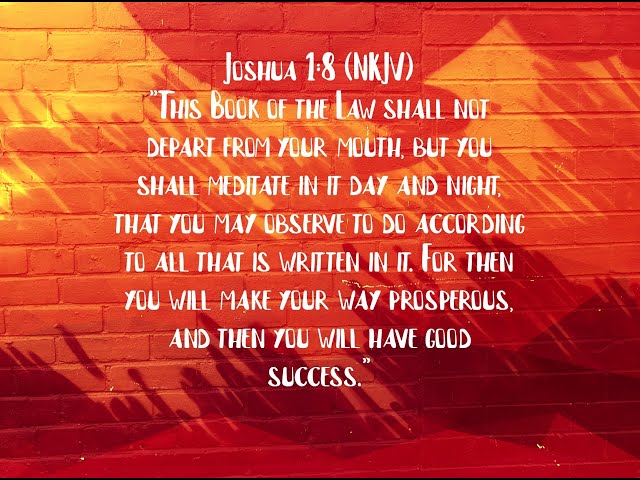 The Vision of Daily Faith Supplements
