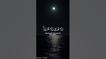 سورة القصص/#قرآن_كريم /#ارح_قلبك ❤️😴🎧