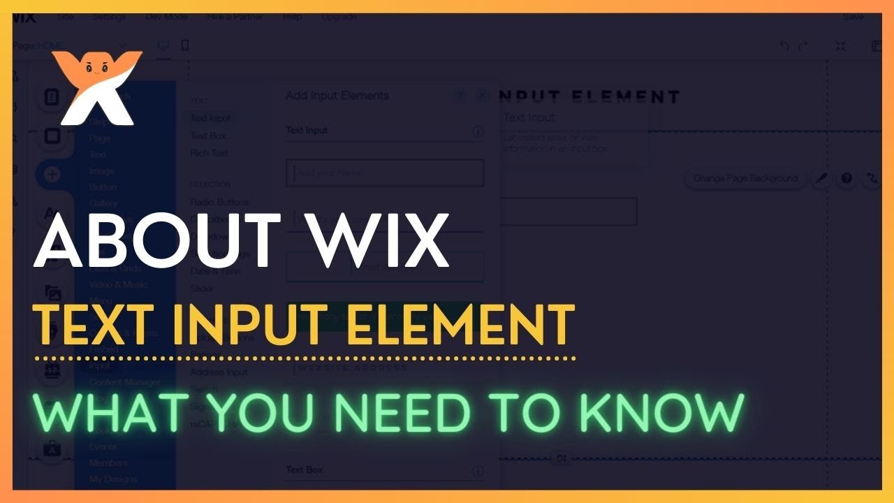 About WIX Text Input Element | What you need to know. - YouTube