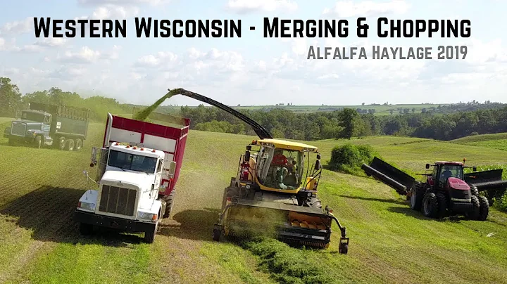Brueggen Dairy Farm Merging & Chopping Alfalfa Hay...
