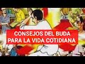 CONSEJOS DEL BUDA PARA UNA VIDA FELIZ//Sigalovada sutta