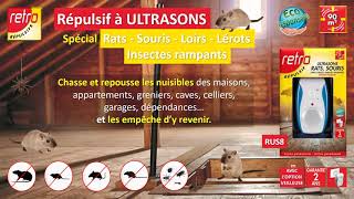 Hen 22-65 KHZ Répulsif Ultrason Anti Rongeur Insectes, Puissant 4 Pack  Fréquence Changer Répulsif Antiparasitaire pour Occasions Polyvalentes Anti  Rats, Souris, Fourmis, Cafards 