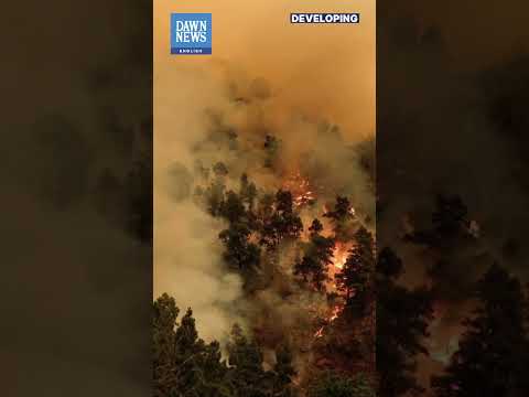 Wildfire On Spain's