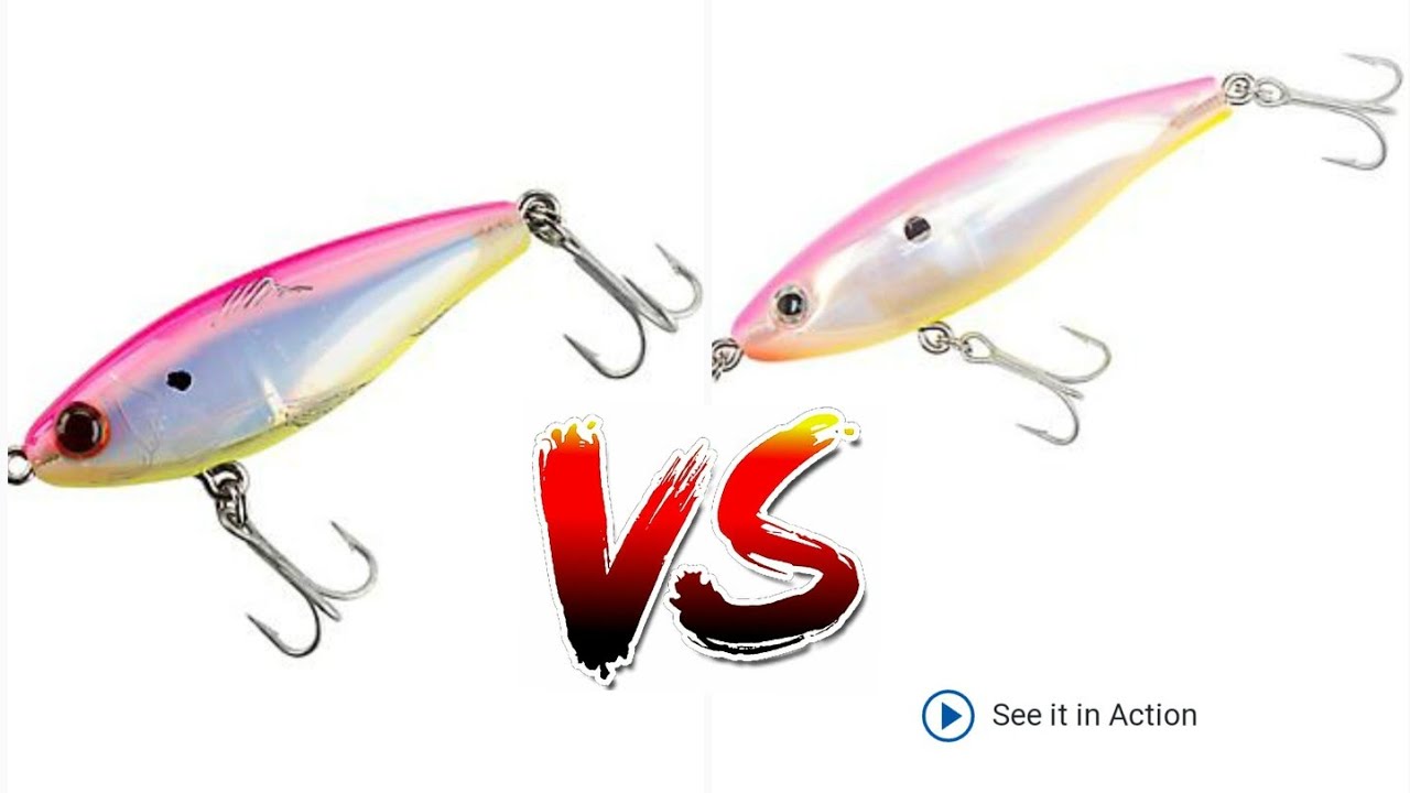 ACADEMY'S Expensive Lures V.S Cheap Lures