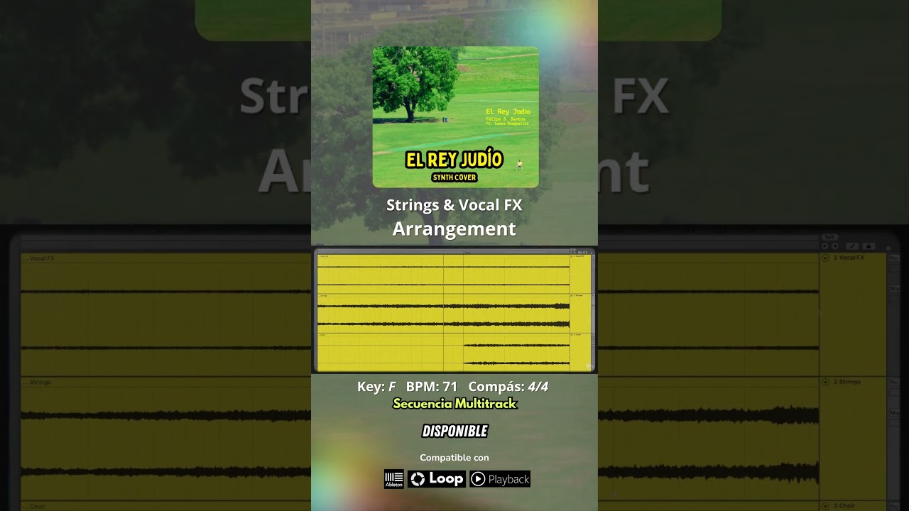🎻 Strings & Vocal FX Arrangement de 