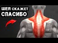 Если Накачать Шею - вы забудете о дискомфорте