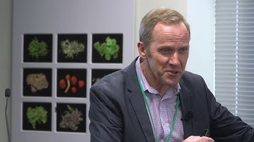 CML - When can treatment stop? - Professor Peter Browett