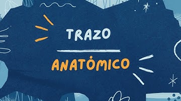 Programación y simulador de un robot con Open Roberta Lab.