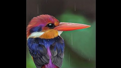 ProCreate Hyperrealistic Painting Timelapse