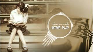 DJ SLOW REMIX‼️การเล่นเพลง ||Savannah [remix Rawi Beat]