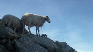 Kırıkhanlı Şair Ahmet - Yörükçe/Var Bizim (Yörükleri Anlatan Şiir)