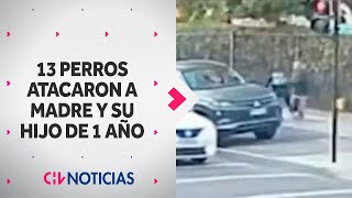 JAURÍA DE 13 PERROS atacaron a madre con su hijo de un año: Culpan a dueños de los animales