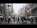 Tokyo Snow - Shibuya, Meiji-Jingu and Shinjuku Feb 8, 2026