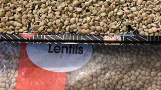 How to sprout lentils beans for picky eaters and your family.