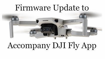 New Firmware Update for DJI Mini & 2