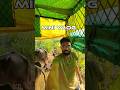 mini Vlog #viral #minivlog #amhidudhutpadakshetkari