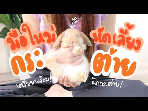 วีดีโอ: 5 วิธีในการโน้มน้าวใจ