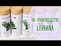 Натуральная российская косметика Леврана | Едем на производство Levrana