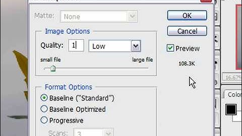 Save an Image as a JPEG in Photoshop CS3