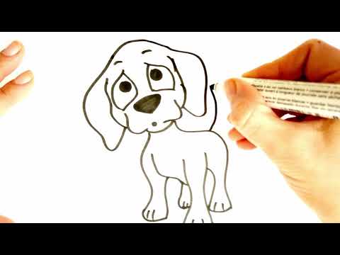 Видео: Как да направим приятели куче и кученце
