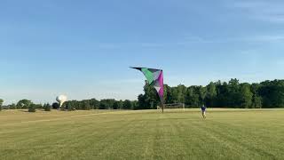 Canvas Kite Designs Spur