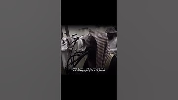 تلاوات من سورة الشعراء #محمد_اللحيدان #تلاوة_خاشعة #قرآن #reels #القرآن_الكريم #viralvideo