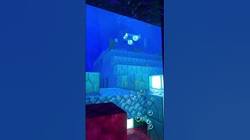 Minecraft Clips builds