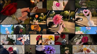 🦋Aesthetic Flower in Hand DP🌹💐 For WhatsApp & Instagram🥀🌸 Soft Flowers, Red Rose & Tulips DPs 2026🌷🌿 screenshot 1