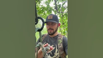 NEW UPLOAD.!SRT CLIMBING WITH YOUR FIGURE 8 #youtube #archery #deerhunting #bowhunter #saddlehunting