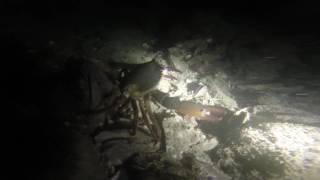 Vetchs Pier Night Dive