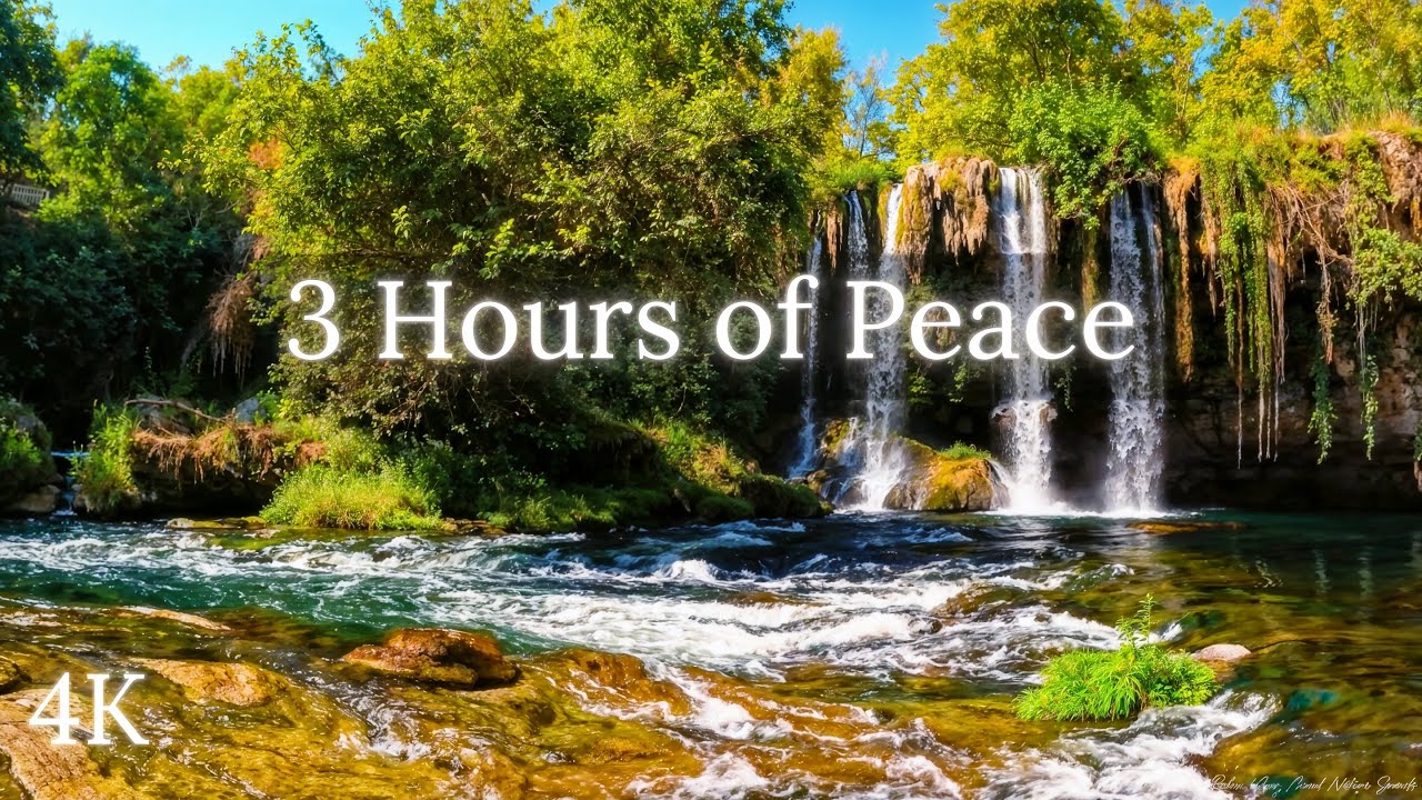 3 Hours of Waterfall & Birdsong on a Sunny Day - Relaxing Nature Sounds ...