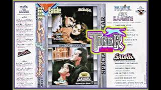 Dil Ye Kehta Hai I Love You.(((Eagle Special Jhankar))) Udit & Alisha