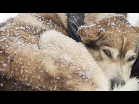 Popular Videos - Boundary Waters & Wilderness